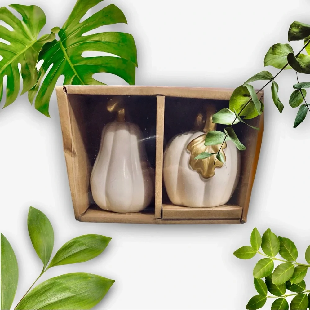 Amici White & Gold Pumpkin Gourd Thirsty Stone Salt and Pepper Shakers NWT - Picture 6 of 11